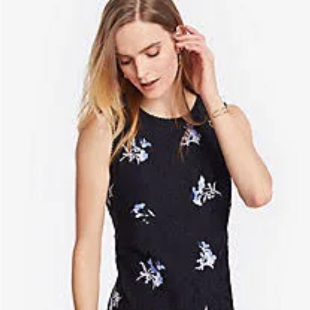 Ann Taylor Dress Sz 4 Black Floral Embroidered Lace Sheath Sleeveless NWT $169